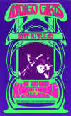 Indigo Girls poster